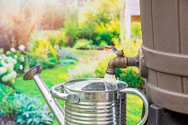 Rain Barrel water filling a watering can