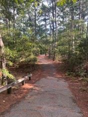 Photo of_CapeHenryTrail_paved