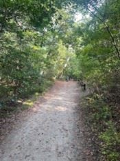 Photo of CapeHenryTrail_unpaved